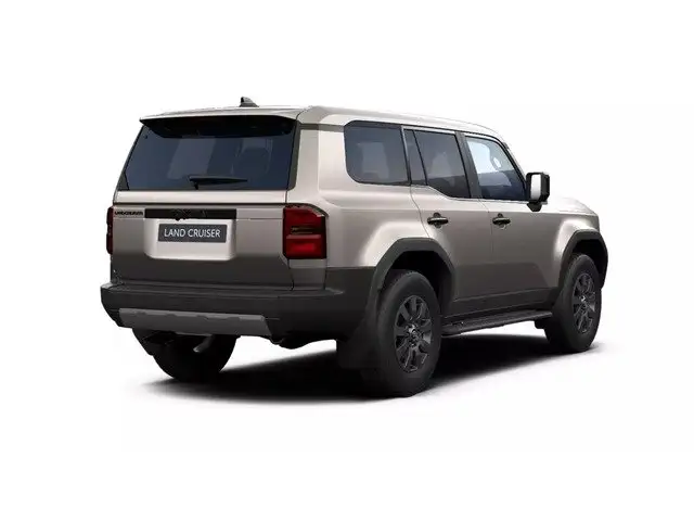 Toyota Land Cruiser view 8