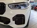 BMW X5 xDrive40i M Sport Laser Navi AHK Leder Drivin Weiß - thumbnail 13