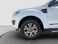 Ford Ranger Ranger DoKa Wildtrak 4x4 2.0D Aut. AHK/STH/Kamera Weiß - thumbnail 19