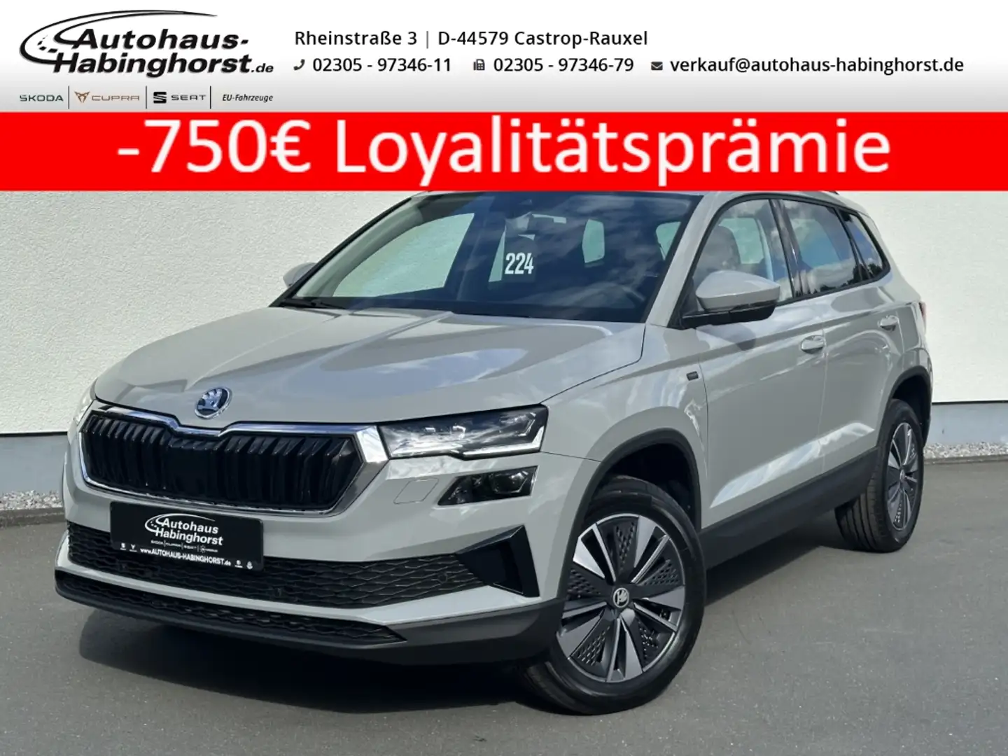 Skoda Karoq 1.5 TSI DSG Tour AHK e.Hk Navi Matrix PDC ACC Grau - 1
