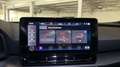 CUPRA Formentor 1.5 TSI OPF LED*LEDER*RADAR*VIRTUAL COCKPIT*ASSIST Grau - thumbnail 17