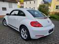Volkswagen Beetle Sport, *Leder* **Sitzheizung* Scheckheft* Blanc - thumbnail 3