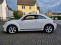 Volkswagen Beetle Sport, *Leder* **Sitzheizung* Scheckheft* Blanc - thumbnail 7