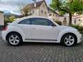 Volkswagen Beetle Sport, *Leder* **Sitzheizung* Scheckheft* Wit - thumbnail 6