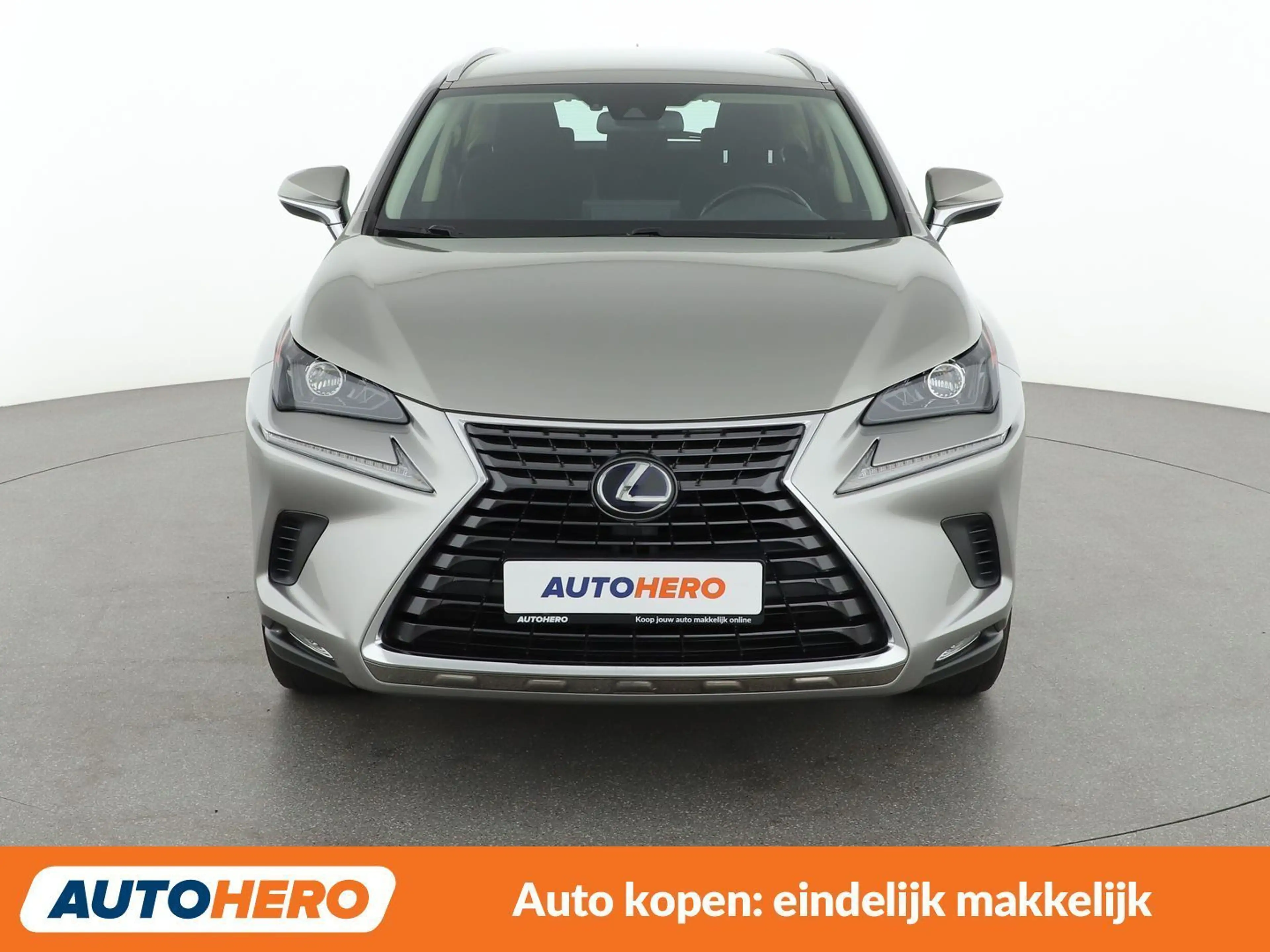 Lexus NX 300h NX 300h Business — photo 9