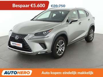 NX 300h Business