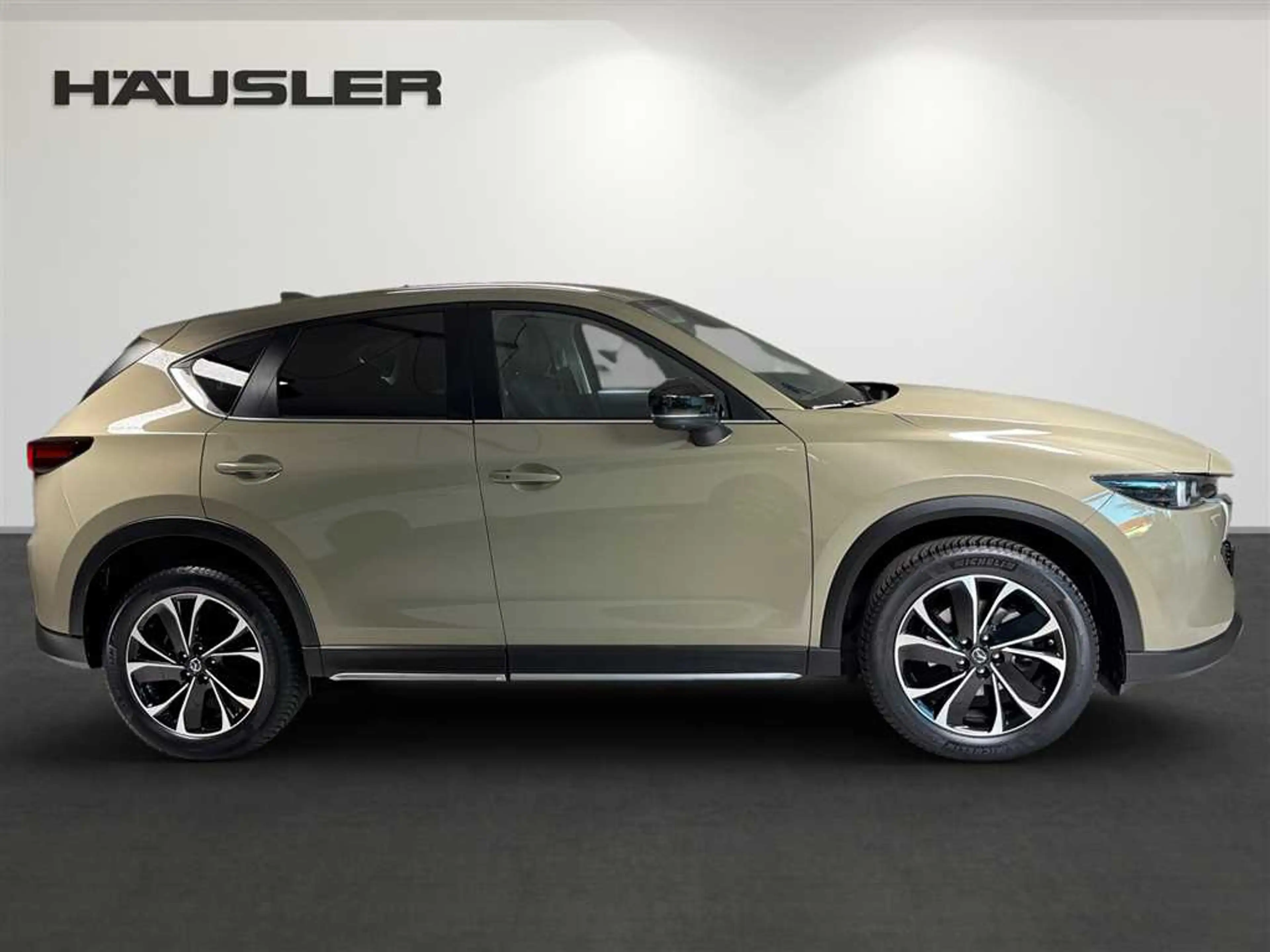 Mazda CX-5 Newground 2.2 AWD Automatik Kamera LED Navi — photo 9