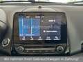 Ford EcoSport Titanium X*1.Hand*Schiebedach*R-Kamera* Grau - thumbnail 18