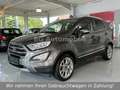 Ford EcoSport Titanium X*1.Hand*Schiebedach*R-Kamera* Grau - thumbnail 1