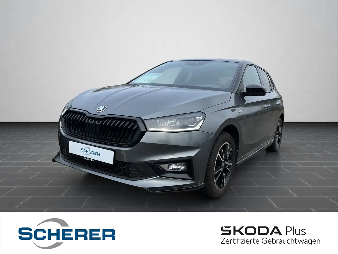Skoda Fabia 1.0 TSI Monte Carlo LED ACC NAVI SHZ RFK Grau - 1