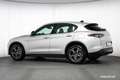 Alfa Romeo Stelvio 2,2 16V 160 SPRINT TOP-ANGEBOT ++ Weiß - thumbnail 41