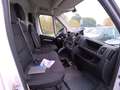 Opel Movano 2.2BLUEHDI 140CV L2H2 3.5T Bianco - thumbnail 4