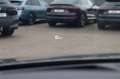 Audi SQ5 3.0 TDI PANO, B&O, ACC, MASSAGE, HUD, MEMO Gris - thumbnail 17