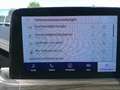 Ford Kuga 2,0 EcoBlue AWD Vignale Aut. Schwarz - thumbnail 30