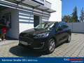 Ford Kuga 2,0 EcoBlue AWD Vignale Aut. Schwarz - thumbnail 1