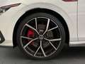 Volkswagen Golf VIII GTI 2.0 TSI DSG / Navi LED ACC RFK Wit - thumbnail 16