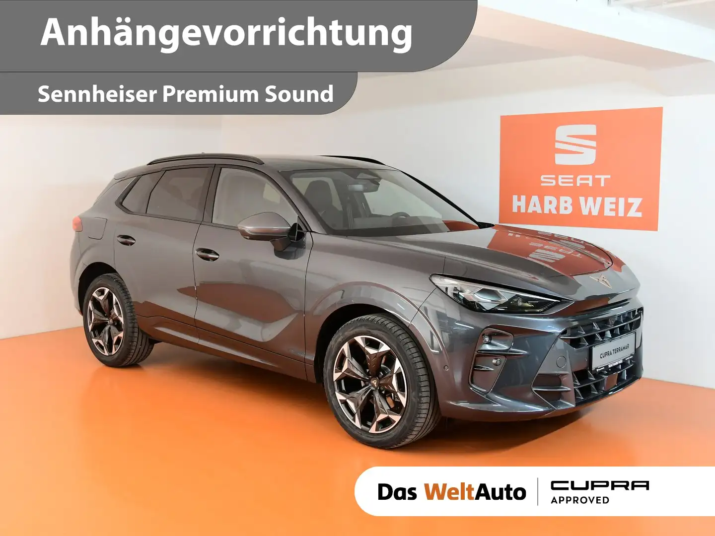 CUPRA Terramar 1.5 e-TSI 150 PS DSG Grau - 1
