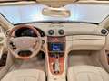 Mercedes-Benz CLK 500 V8 CABRIO ELEGANCE+SEDILI VENTILATI+ASI+BOOK SERVI Blau - thumbnail 7
