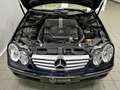 Mercedes-Benz CLK 500 V8 CABRIO ELEGANCE+SEDILI VENTILATI+ASI+BOOK SERVI Blau - thumbnail 14