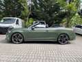Audi S5 3.0 TFSI quattro tiptronic Matix+Navi+Leder+R-Kam+ Grün - thumbnail 25