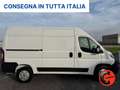 Fiat Ducato 35 122CV 47kWh(PM-TM-L2H2)FURGONE ELETTRICO-KM 470 Wit - thumbnail 2