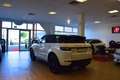 Land Rover Range Rover Evoque HSE Dynamic NAVI/PANO/STHZ Weiß - thumbnail 4