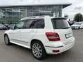 Mercedes-Benz GLK 350 CDI 4-MATIC/LEDER/AHK/XENON/SITZHEIZUNG Weiß - thumbnail 4