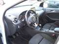 Mercedes-Benz B 180 B 180 Edition 1 (246.242) Blanc - thumbnail 5