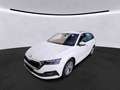 Skoda Octavia Combi 2.0 TDI STYLE LED+APP+GRA+SHZ+PDC Weiß - thumbnail 2