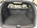 BYD Seal 6 DM-i Touring Comfort Lite Weiß - thumbnail 14
