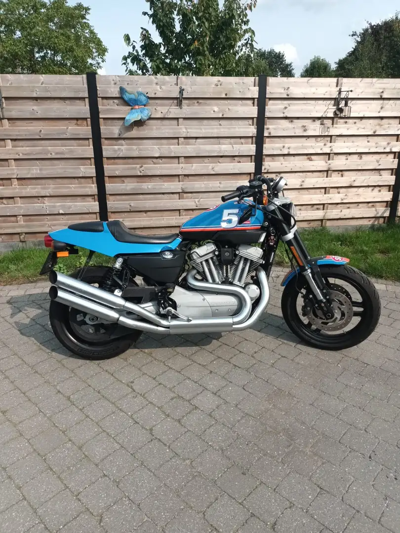 Harley-Davidson XR 1200 Azul - 2