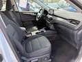 Ford Kuga Plug-In Hybrid Titanium+RFK+AHK schwenkbar Weiß - thumbnail 11