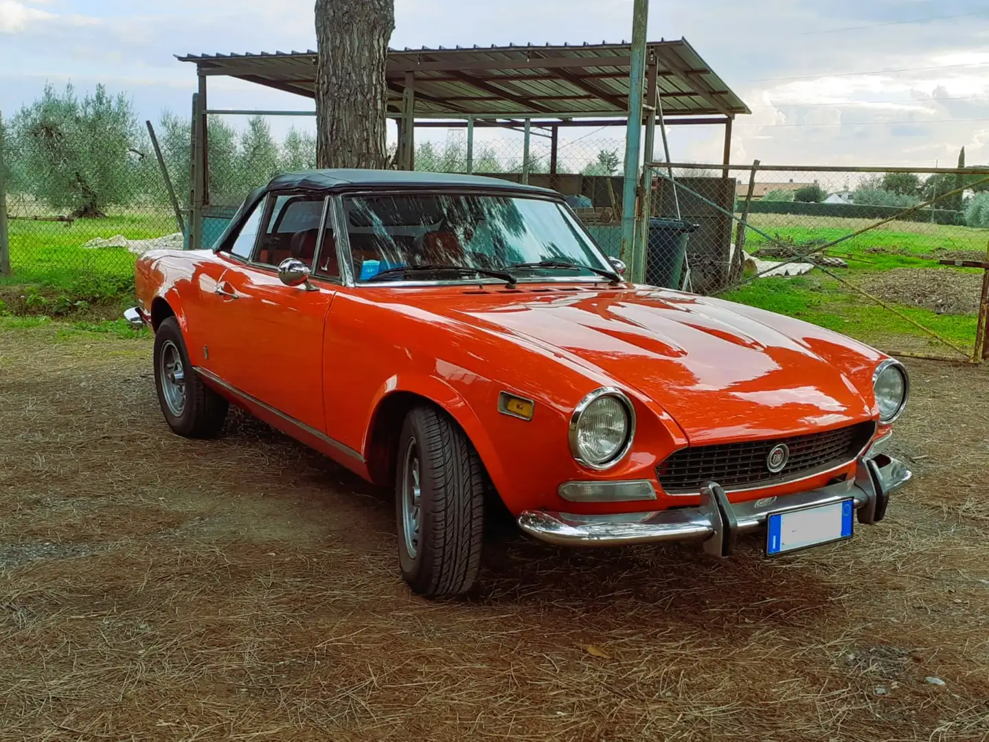 Fiat 124 Spider CS1 Modello USA - A.S.I. - 2