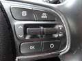 Kia Sportage 2,0 CRDI AWD Platin Aut. Rot - thumbnail 14