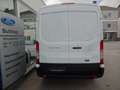 Ford Transit Basis Kasten 350 L2H2 Weiß - thumbnail 6