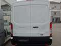 Ford Transit Basis Kasten 350 L2H2 Weiß - thumbnail 6