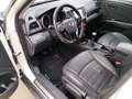 SsangYong XLV 1.6d Limited 2wd TETTO-NAVI-PELLE - thumbnail 11