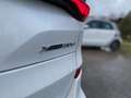 BMW X5 XDRIVE 30d - BVA SPORT G05 M SPORT - Caméra De Recul + Hayon Elec Blanc - thumbnail 24
