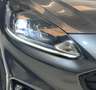 Ford Kuga Kuga III 2020 2.0 ecoblue ST-Line 2wd 120cv auto Grau - thumbnail 11