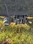 Peugeot 4007 2,2 HDi 160 FAP Exclusive - thumbnail 9