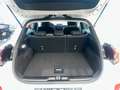 Ford Puma Titanium 125PS Navi Winter CarPlay Kamera Klima Blanc - thumbnail 19