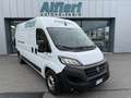 Fiat Ducato 2.3MJT LH2 Furgone E6D 140cv3700x1810xx1930 kg1290 Blanco - thumbnail 1