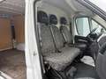 Fiat Ducato 2.3MJT LH2 Furgone E6D 140cv3700x1810xx1930 kg1290 Blanco - thumbnail 14