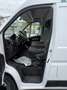 Fiat Ducato 2.3MJT LH2 Furgone E6D 140cv3700x1810xx1930 kg1290 Blanco - thumbnail 8