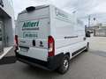 Fiat Ducato 2.3MJT LH2 Furgone E6D 140cv3700x1810xx1930 kg1290 Blanco - thumbnail 5