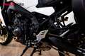Yamaha Tracer 9 - thumbnail 10