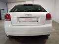 Audi A3 2.0TDI Limited Edition S-Tronic 170 Weiß - thumbnail 15