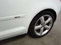 Audi A3 2.0TDI Limited Edition S-Tronic 170 Weiß - thumbnail 22