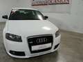 Audi A3 2.0TDI Limited Edition S-Tronic 170 Weiß - thumbnail 7