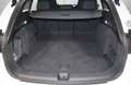Audi Q6 quattro S line edition Bianco - thumbnail 15
